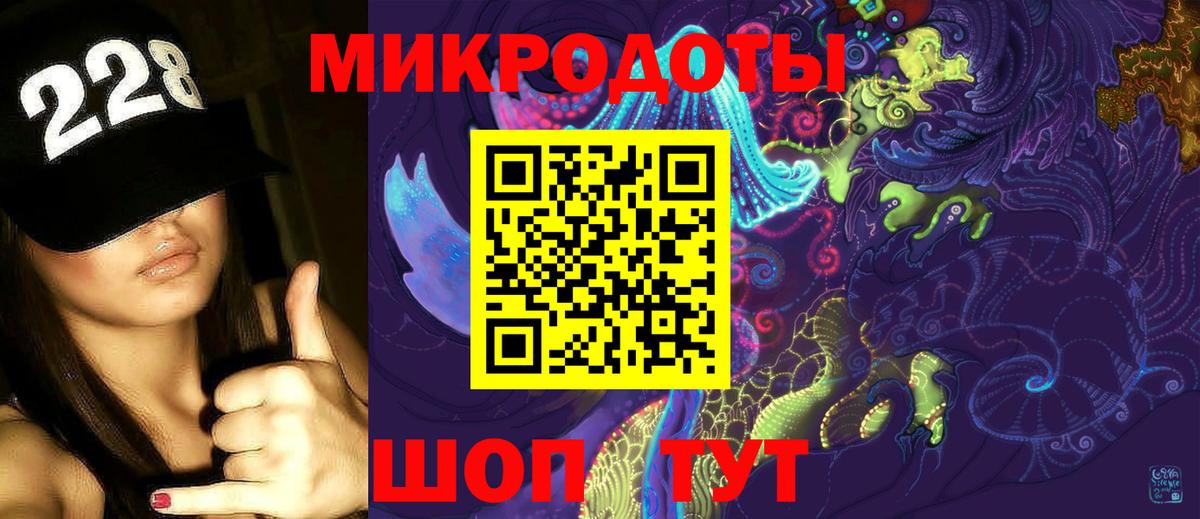 Псилоцибиновые грибы Cubensis Анапа